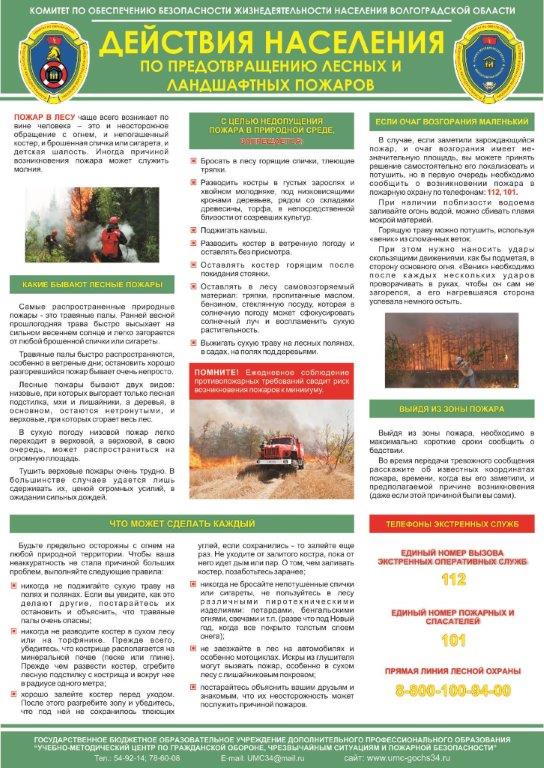 Действия населения по предотвращению лесных и ландшафтных пожаров