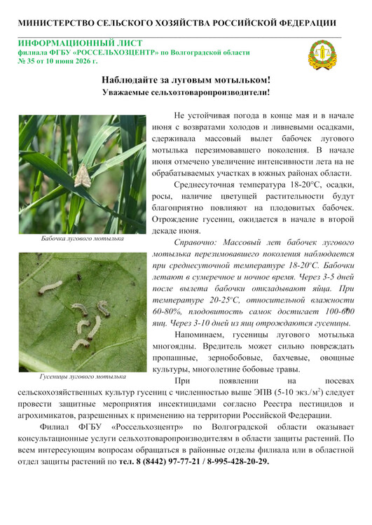 Наблюдайте за луговым мотыльком!