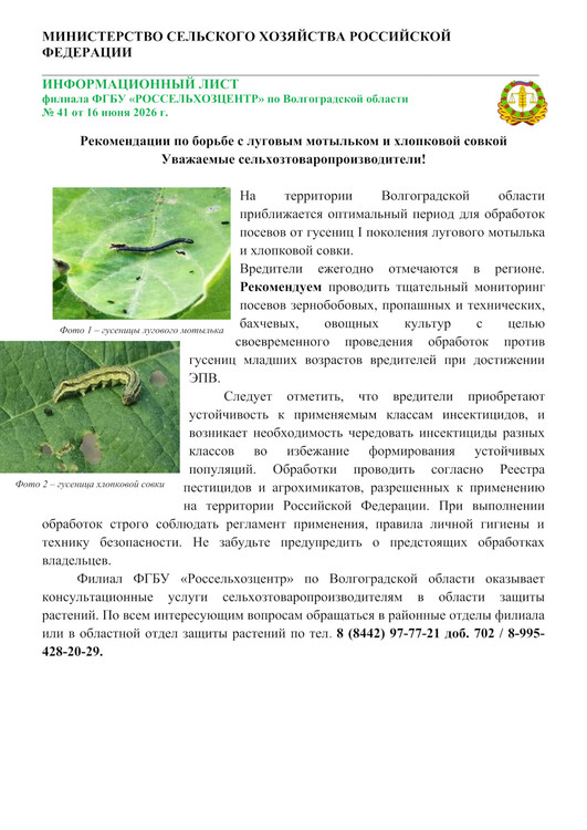 Рекомендации по борьбе с луговым мотыльком и хлопковой совкой