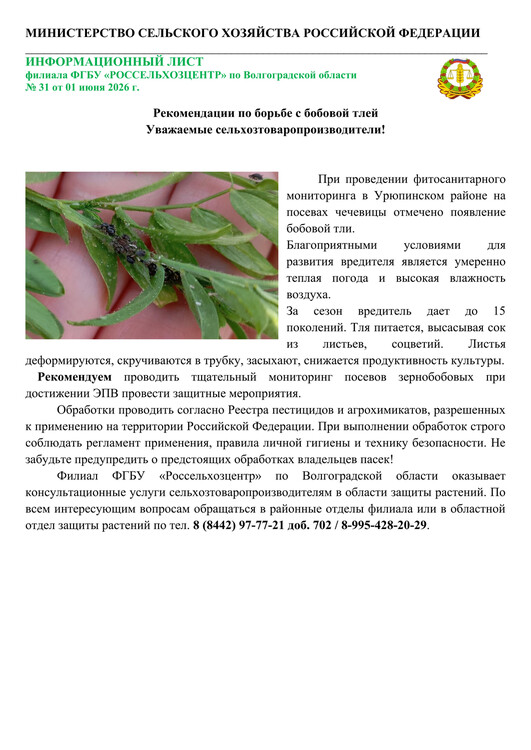 Рекомендации по борьбе с бобовой тлей