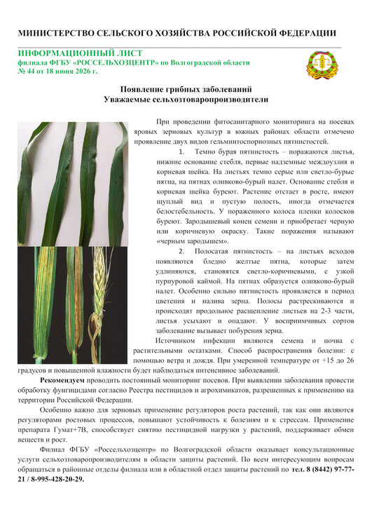 Появление грибных заболеваний